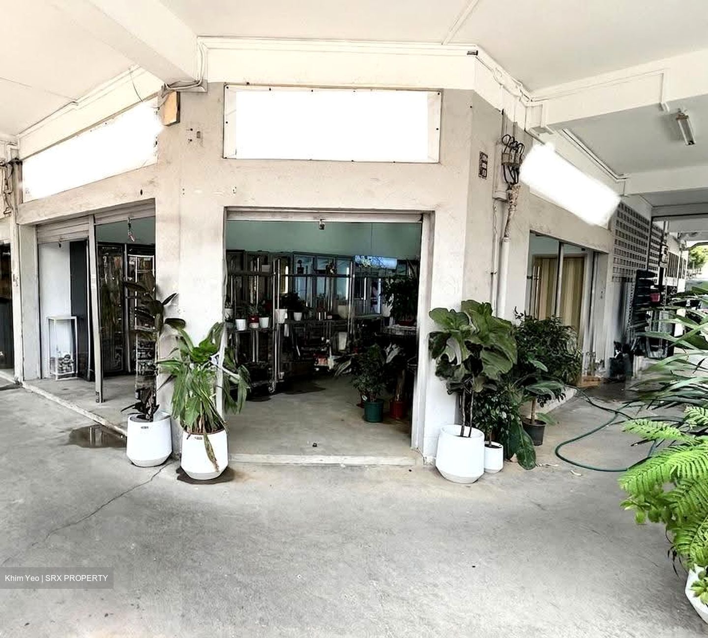 Joo Chiat Road (D15), Shop House #613756281